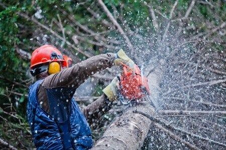 Allegedly Defective Chainsaw Injures Logging Industry Veteran