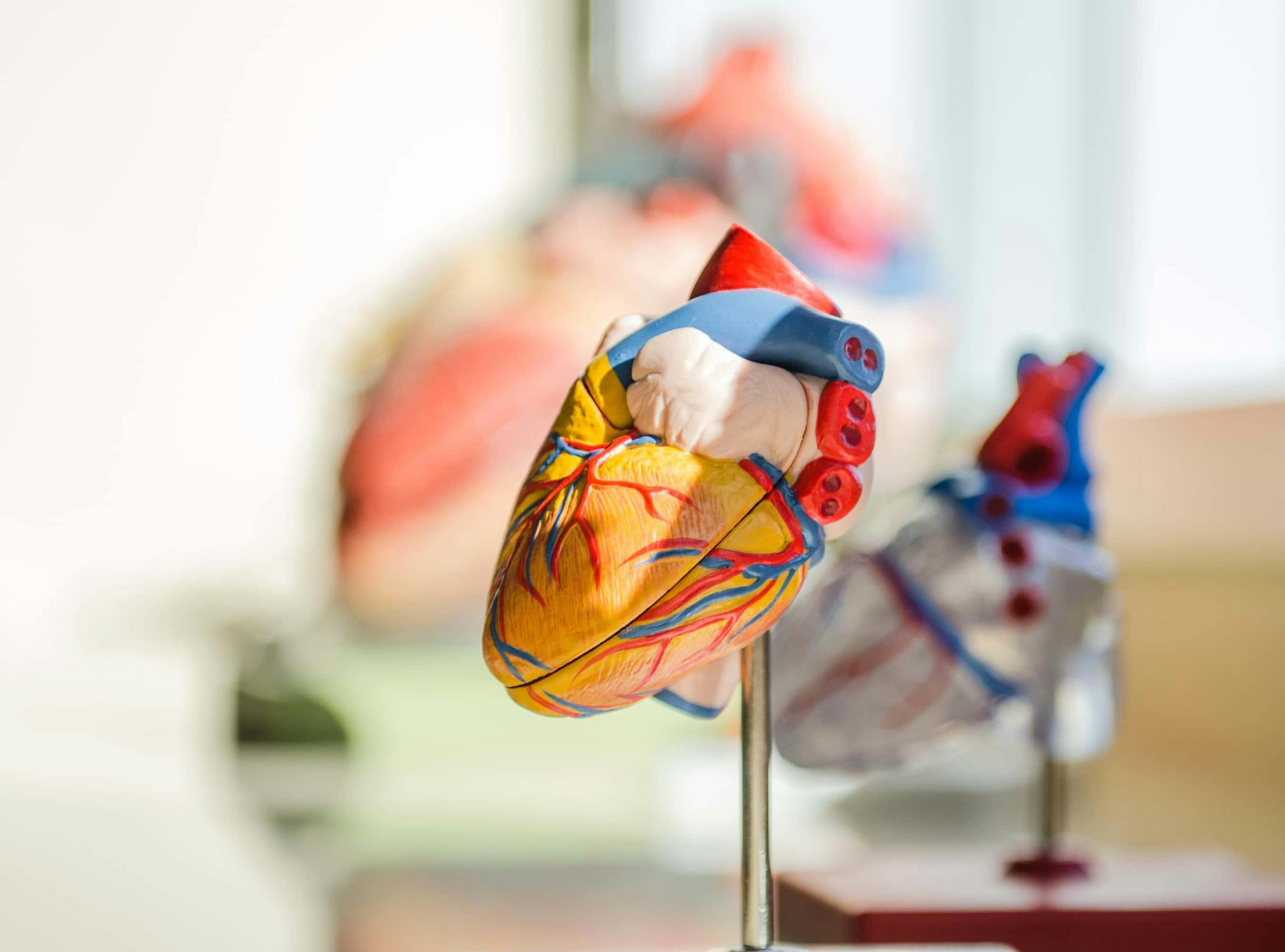 Medtronic HeartWare Recalls: A Guide for Attorneys
