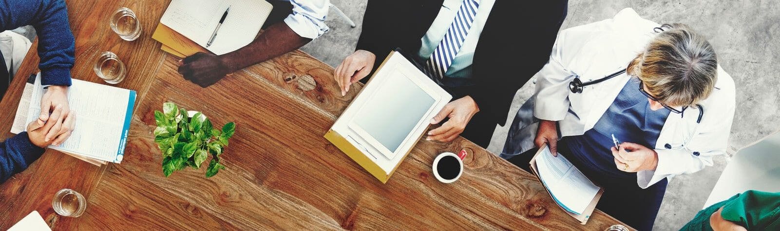 Medical Expert Witness