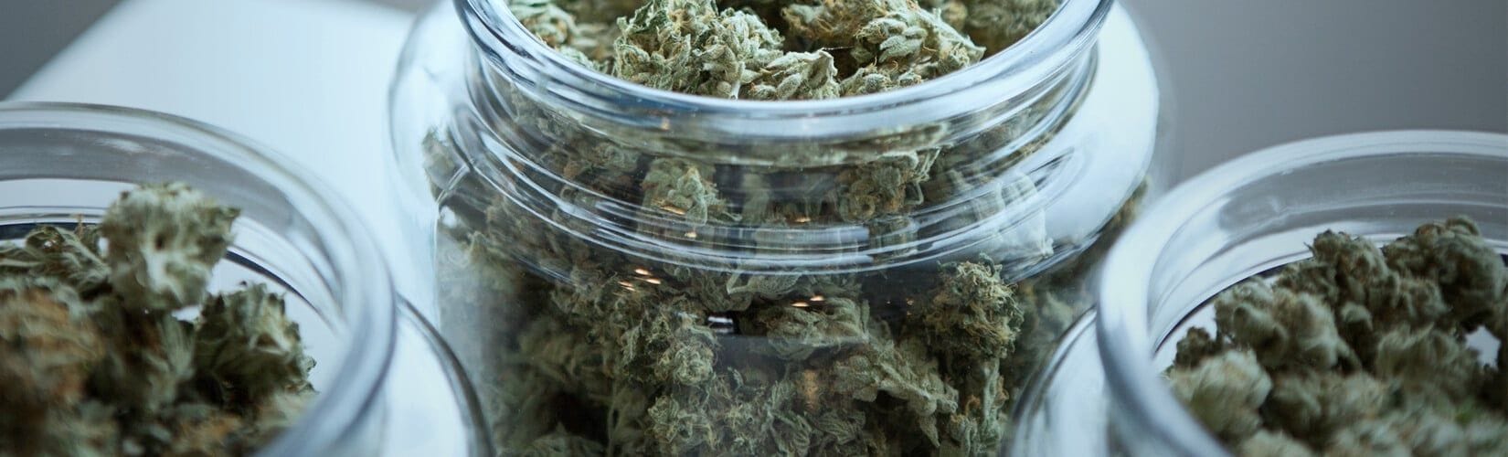 As Nuisance Claims Rise, Cannabis Cases May Depend on Expert Witnesses