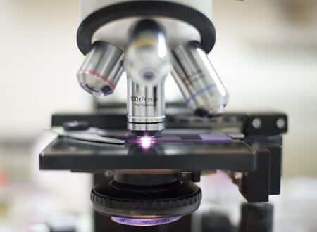 Oncology Expert Evaluates Delayed Intervention for Pancreatic Cancer Patient