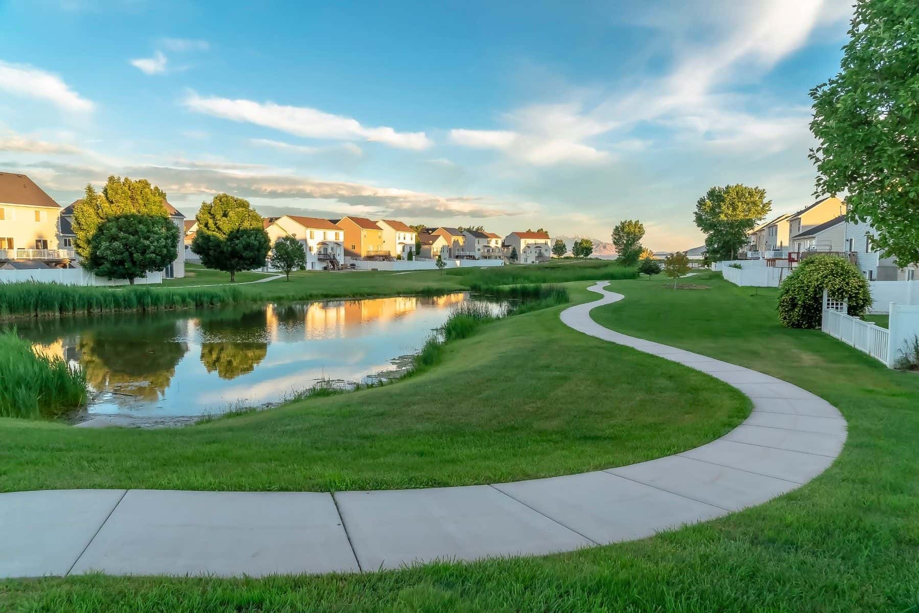 Pond