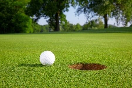 Golf Course Maintenance Expert Witness Discusses Golf Cart Injury