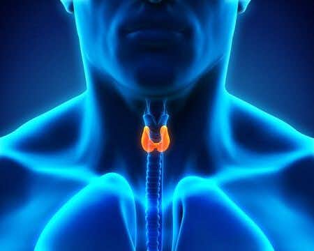 Doctors Fail to Diagnose Thyroid Cancer