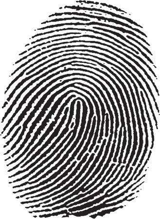 Forensic Expert Witness Presents Fingerprint Testimony in Criminal Case