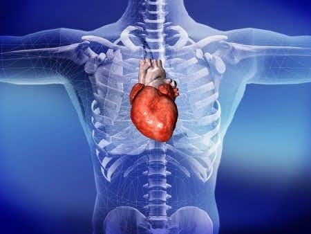 Infective endocarditis complications result in patient&#8217;s death