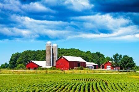 Real Estate Expert Witness Evaluates Impact of Farm Odor on Property Value