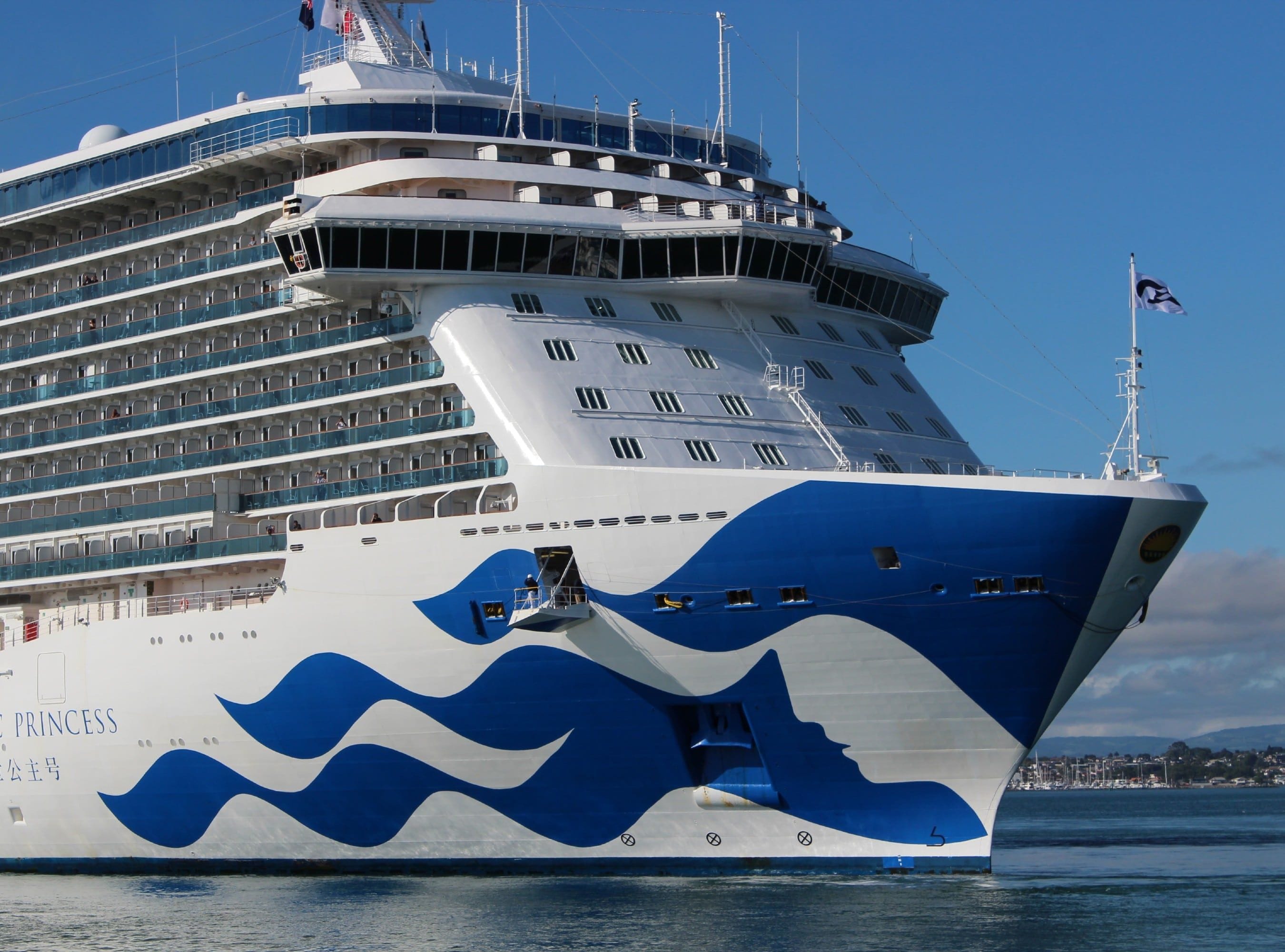 Two COVID-19 Cruise Ship Cases Dismissed: Establishing Causation Proving Difficult