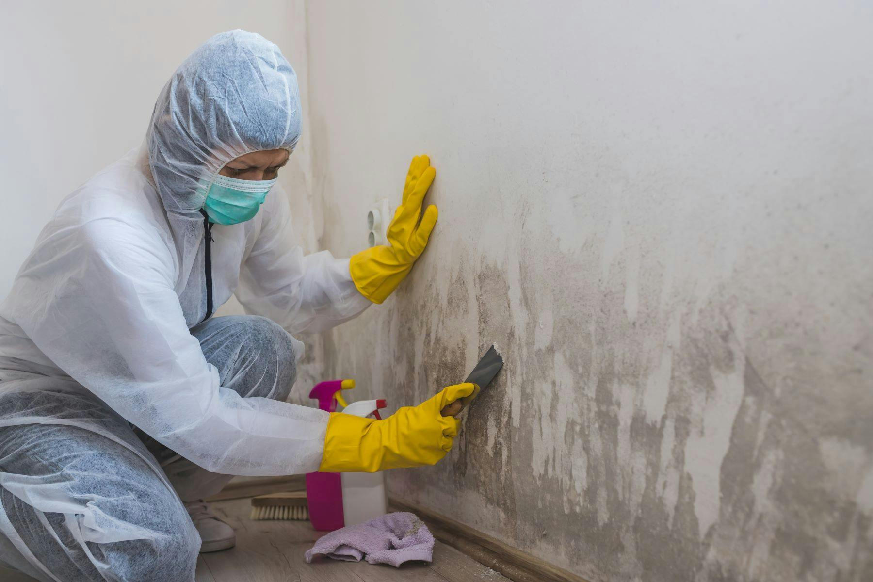 Person cleaning mold with chemicals