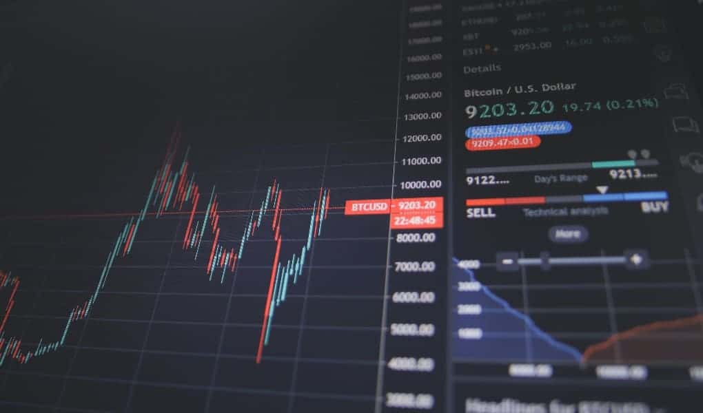 Securities Expert’s Analysis of Empirical Studies Excluded