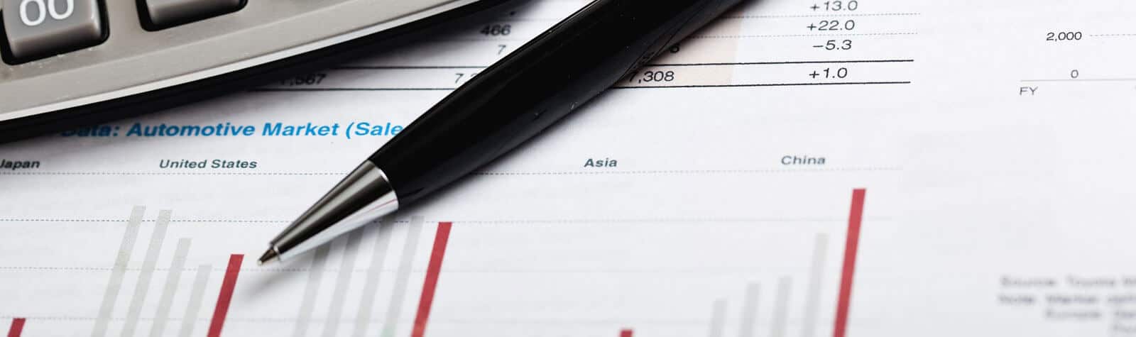 Financial Expert Witness