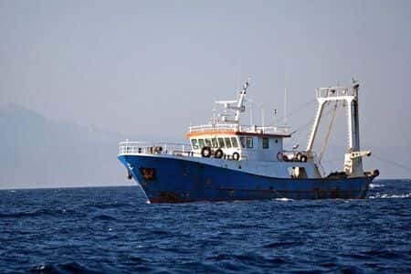 Commodities Experts Evaluate Breach of Contract