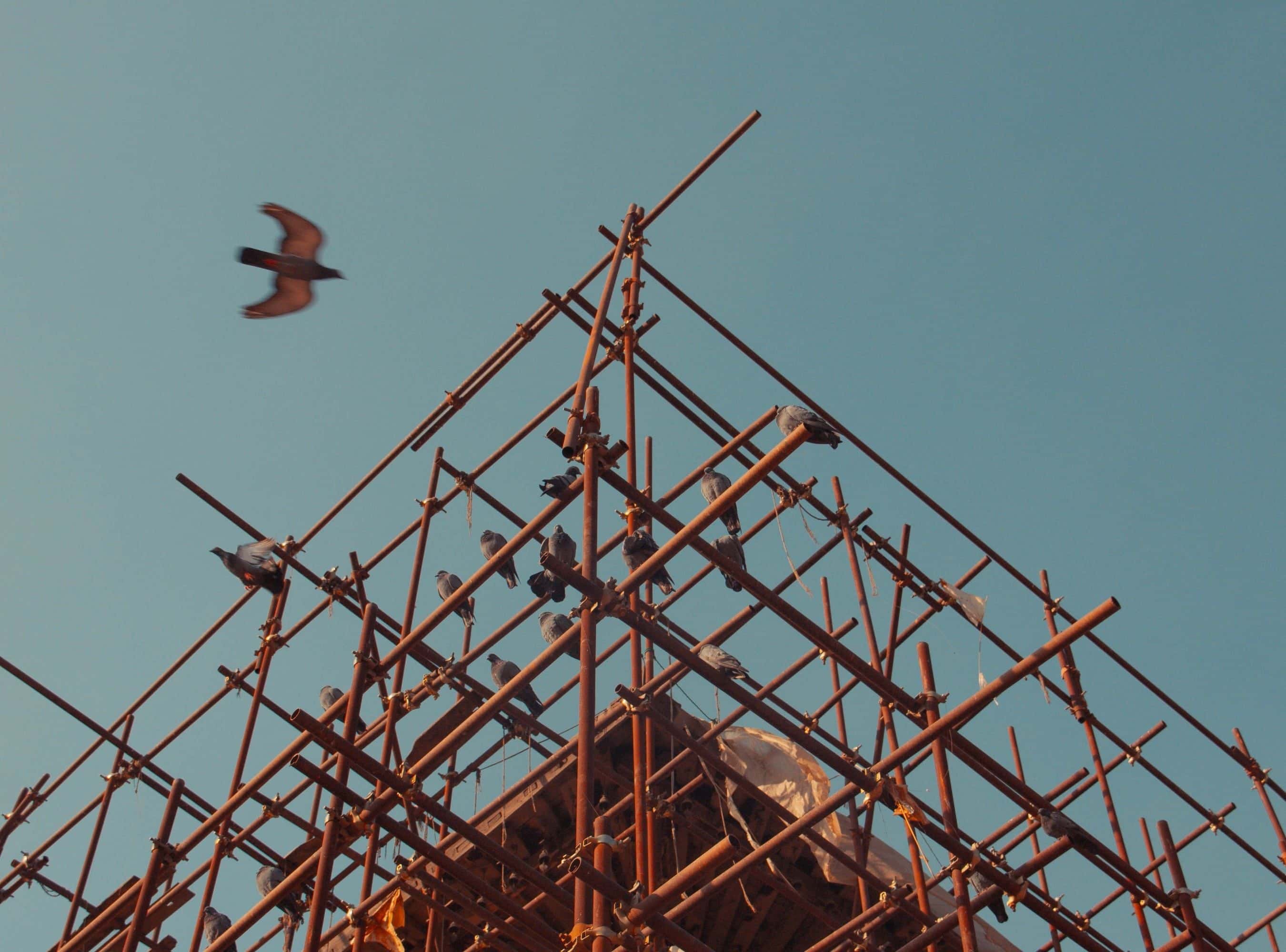 Scaffold Collapses and Injures Construction Worker