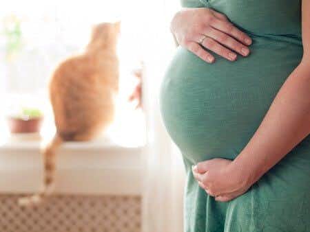 Maternal Fetal Medicine Expert Discusses IVF Lawsuit