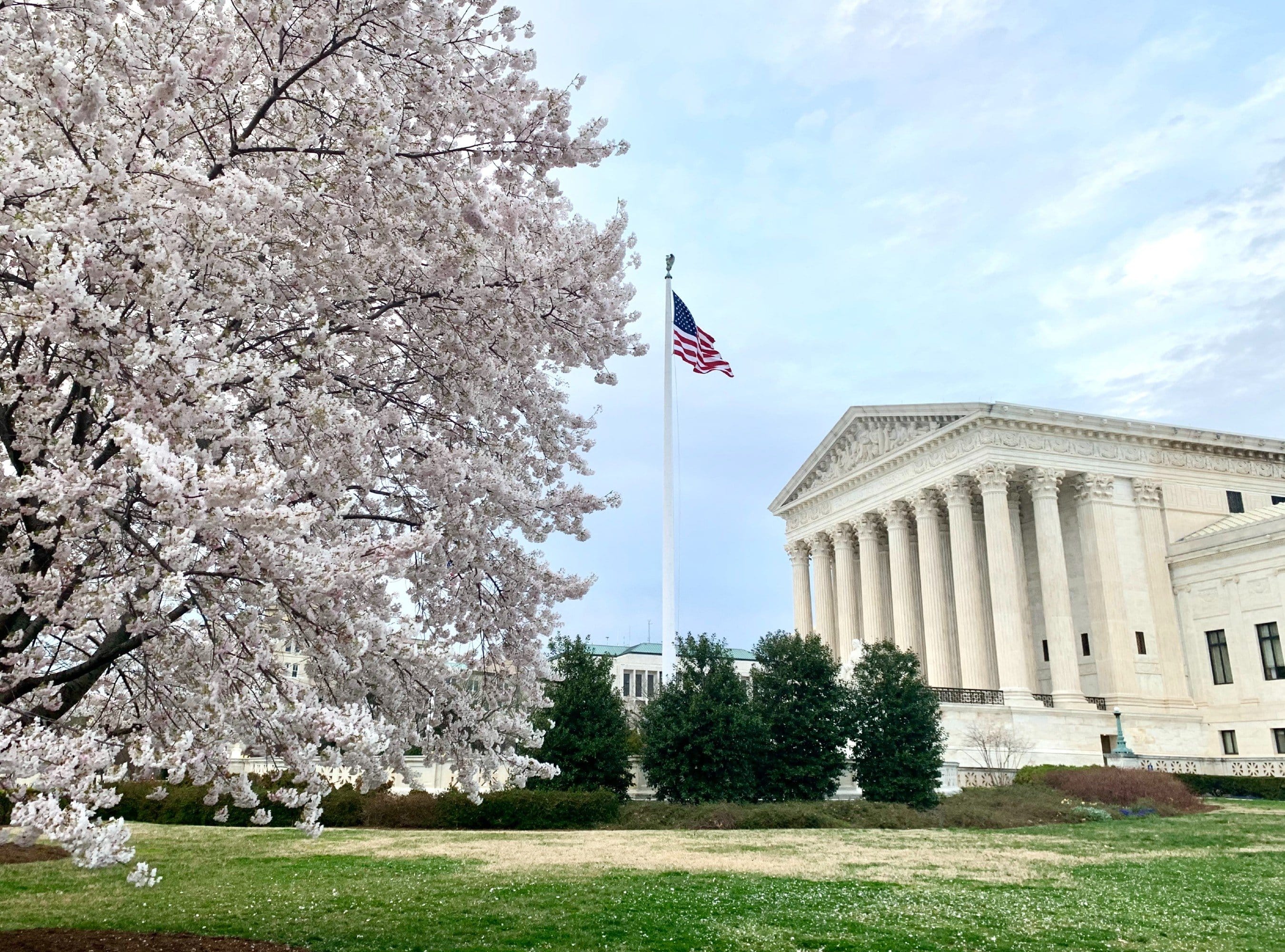 Litigation Trends in the Post COVID-19 World