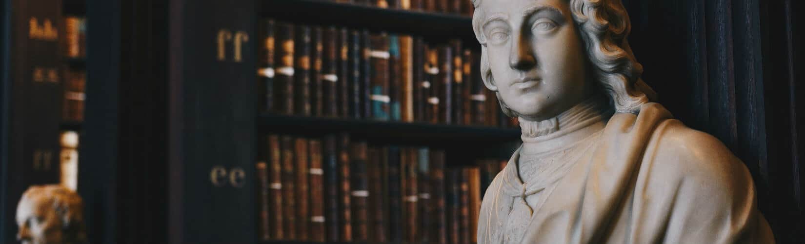 Expert witness interview