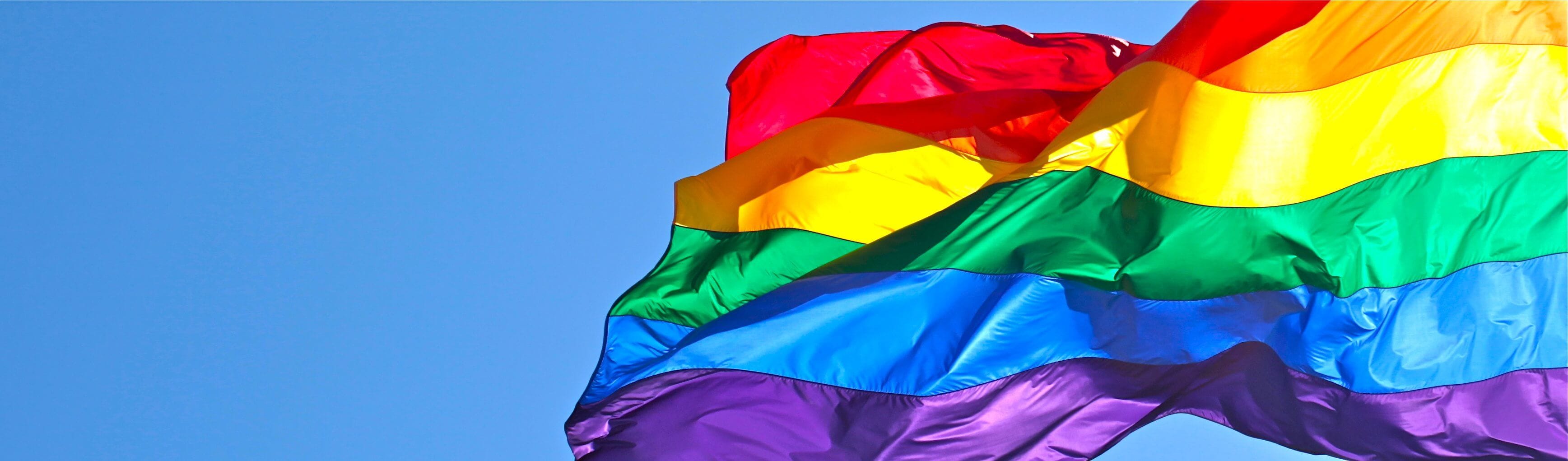 Same Sex Marriage Expert Witness