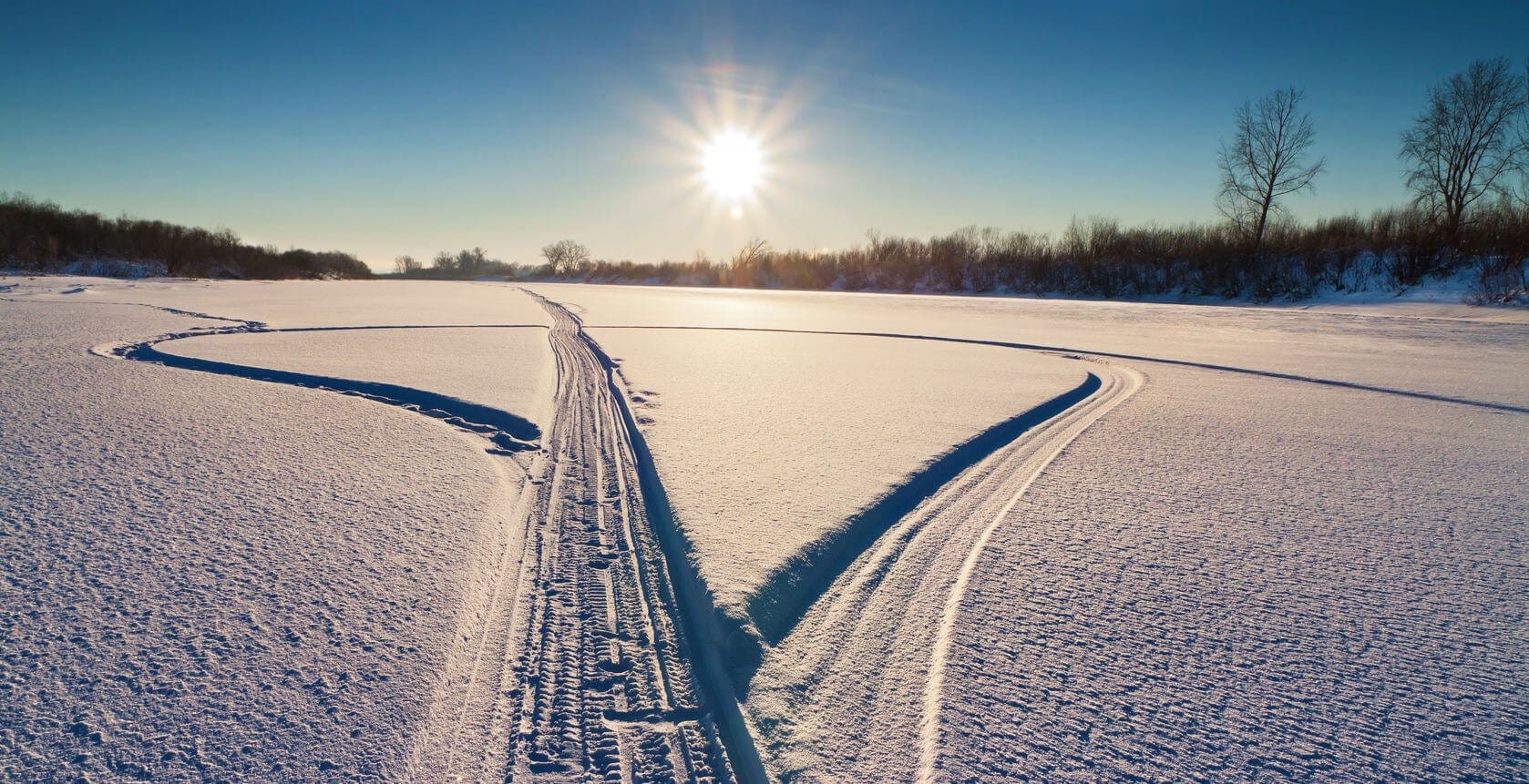 snowmobile expert witness