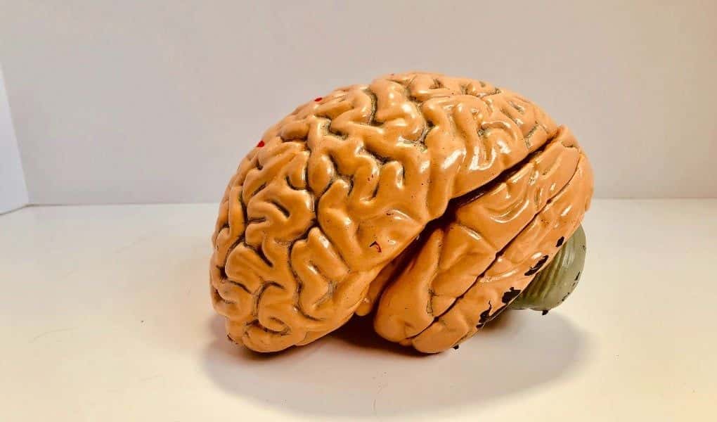 Psychiatry Expert’s Expertise in Behavioral Conditions Challenged