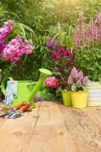 Delayed Diagnosis of Compression Fracture Causes Permanent Disability