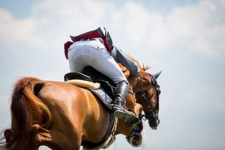 Equestrian Expert Evaluates Horse Riding Injury at Summer Camp
