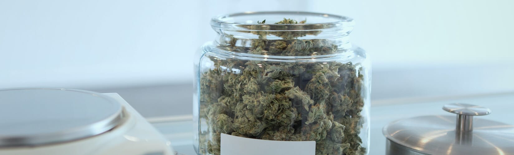 Legal Cannabis Gives Rise to Product Liability Class Actions in the US and Canada