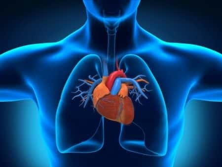 Pediatric surgery expert witness discusses artery puncture during tracheoesophageal fistula repair surgery