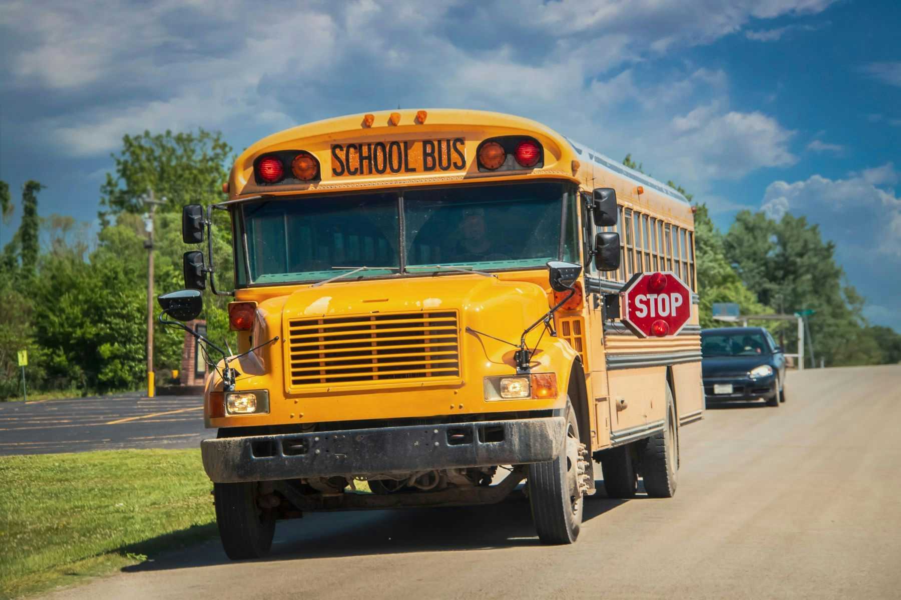 School bus stopped on road