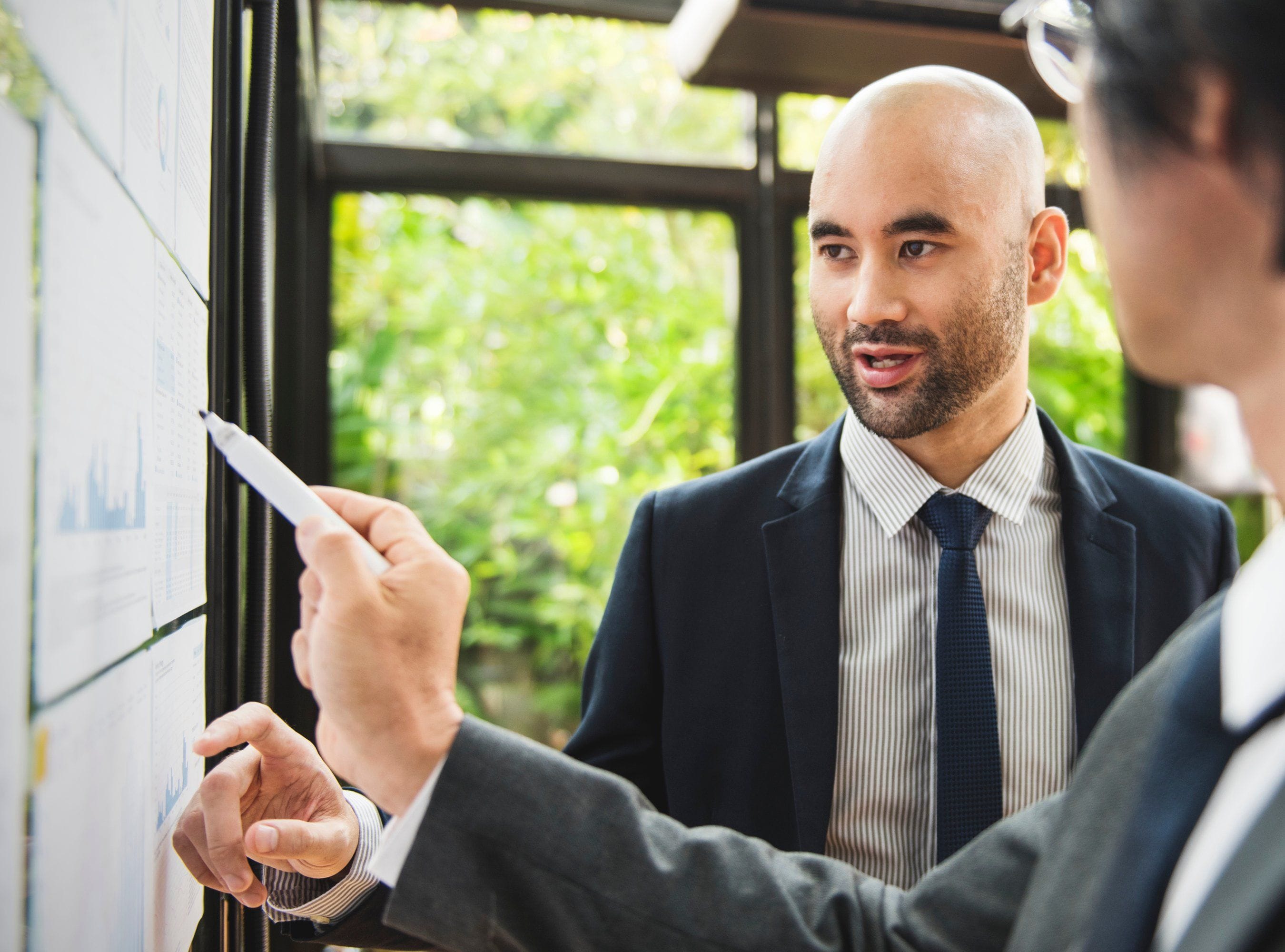 expert witness definition