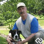 Dog Training and Behavior Managament Expert Witness | New York