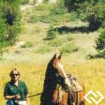 Equine Veterinary Medicine Expert Witness | Colorado